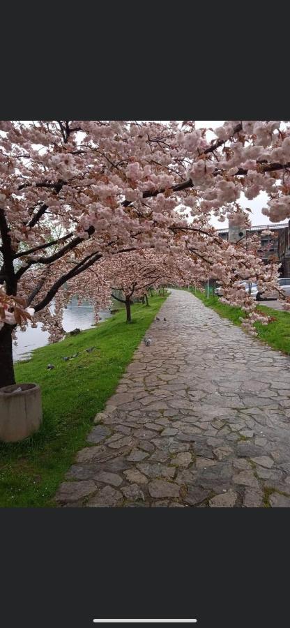 Kartal Centar Apartment Bihac Bagian luar foto