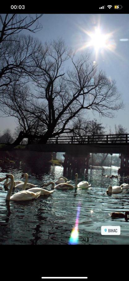 Kartal Centar Apartment Bihac Bagian luar foto